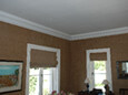 Cornice & Ceiling Specialists
