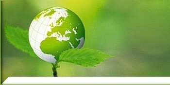 Basic Azure (Pty) Ltd
