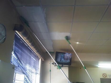 Pro-Ceil Cleaners