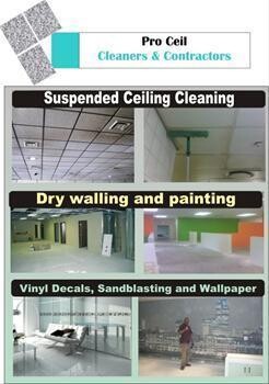 Pro-Ceil Cleaners