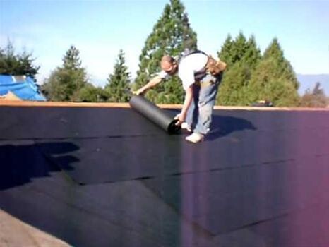 David Li Chule Roofing And Painting