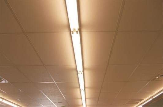 Hardy Ceilings & Dry Walling