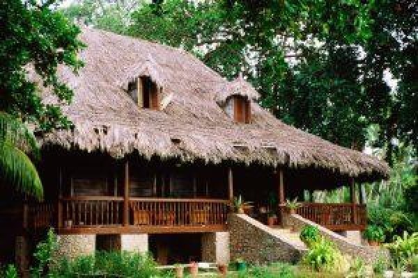 Fiber Thatch
