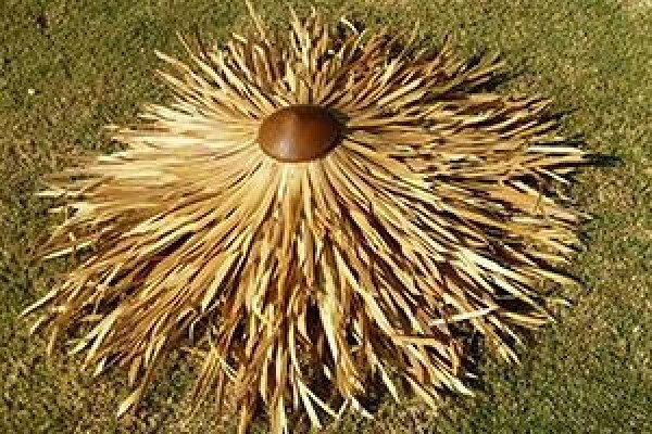 Fiber Thatch