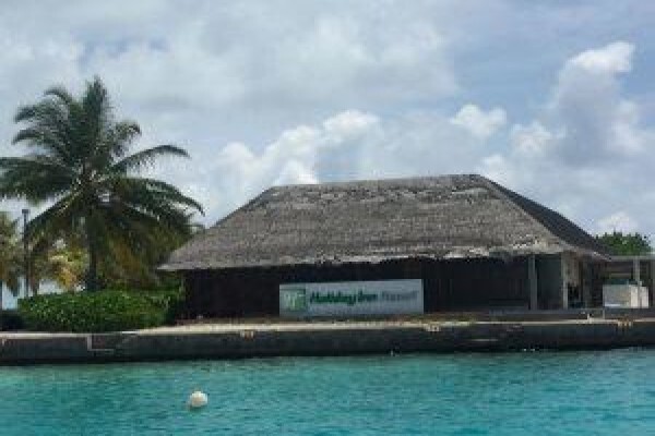 Fiber Thatch