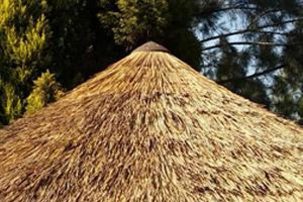 Fiber Thatch