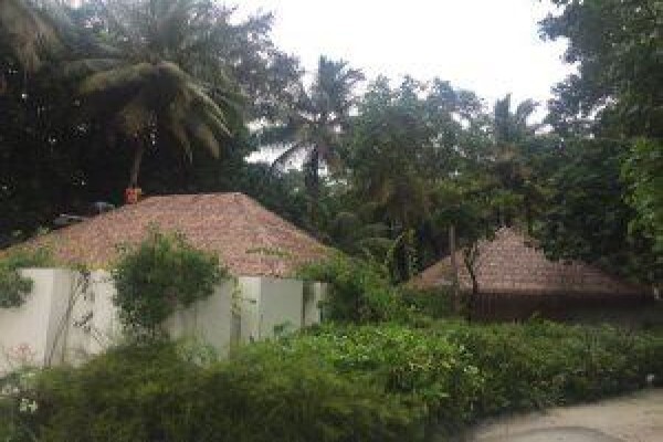 Fiber Thatch
