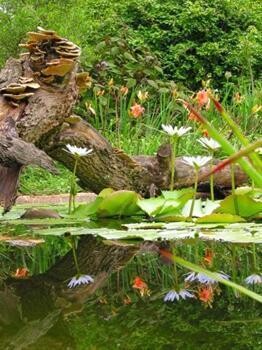 The School Of Garden Design