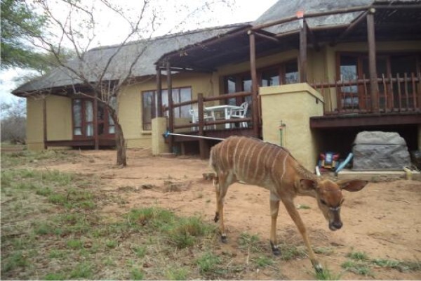 Century21 Wildlife Properties