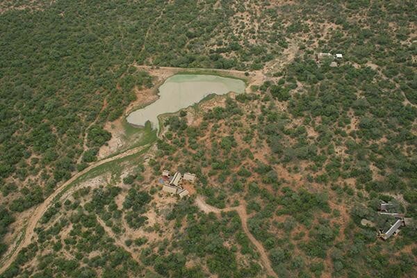 Century21 Wildlife Properties