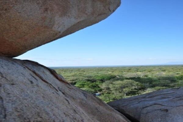 Century21 Wildlife Properties