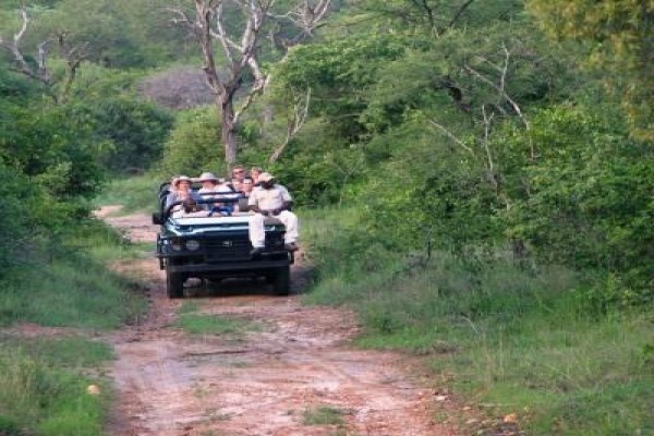 Century21 Wildlife Properties