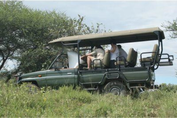 Century21 Wildlife Properties