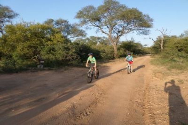 Century21 Wildlife Properties