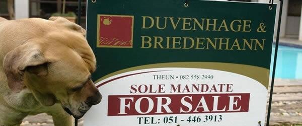 Duvenhage & Briedenhann Properties Bloemfontein