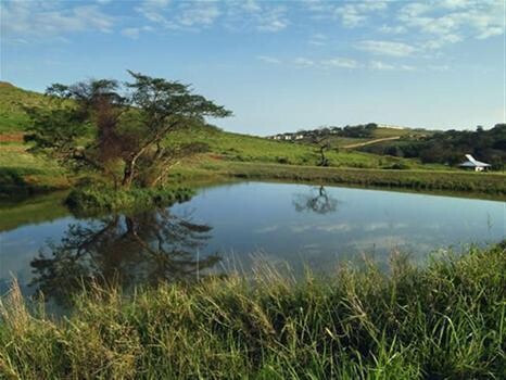 Lloyd Rees - Tyson Properties, Ballito