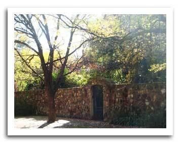 Sylvia Gibbons Properties Cc