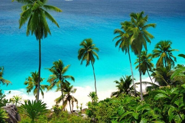 Eden Island