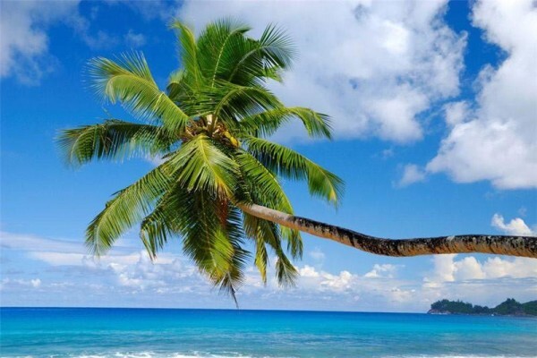 Eden Island