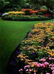 Sando Garden And Cleaning Services
