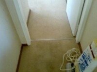 Magic Carpet Cleaners