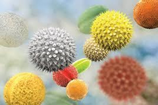Sommeville Specialist Cleaning Services