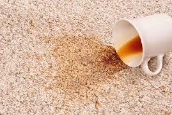 Sommeville Specialist Cleaning Services