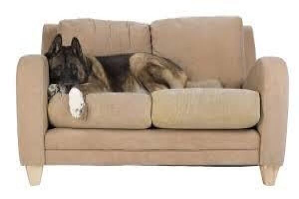 Sommeville Specialist Cleaning Services