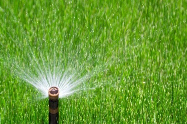 Sgs & Maintenance Services