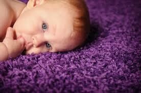 Amega Carpet And Upholstery Cleaners - East Rand