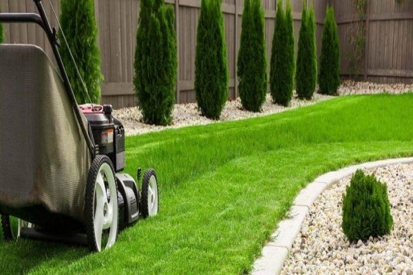 Sgs & Maintenance Services