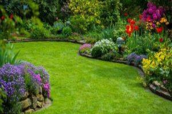 Sgs & Maintenance Services