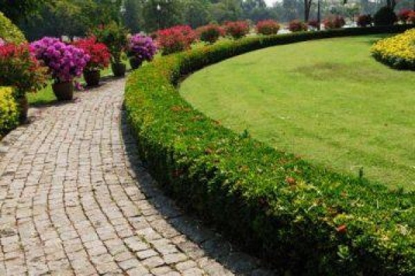 Sgs & Maintenance Services