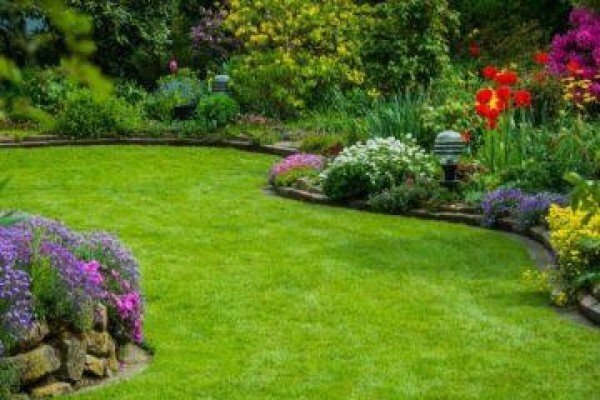 Sgs & Maintenance Services