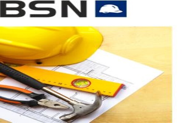 Bsn Business Consultants