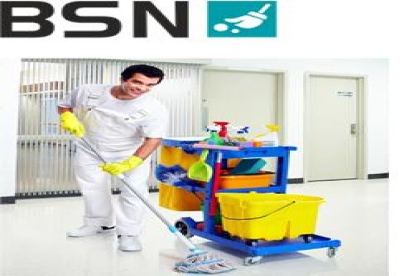 Bsn Business Consultants