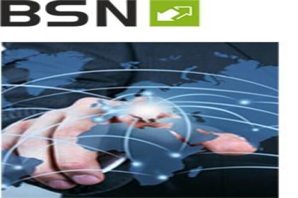 Bsn Business Consultants