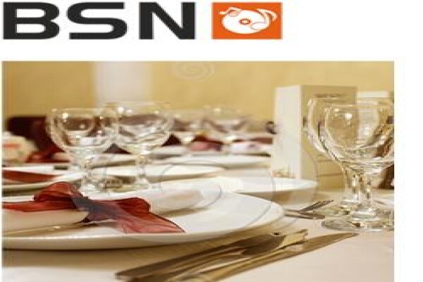 Bsn Business Consultants