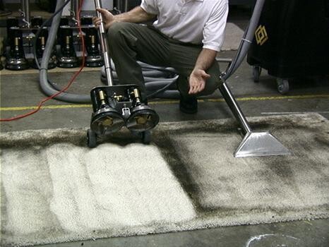 True Clean Carpet Cleaning