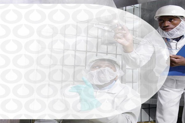 Ecofirst Pest Prevention & Hygiene Services