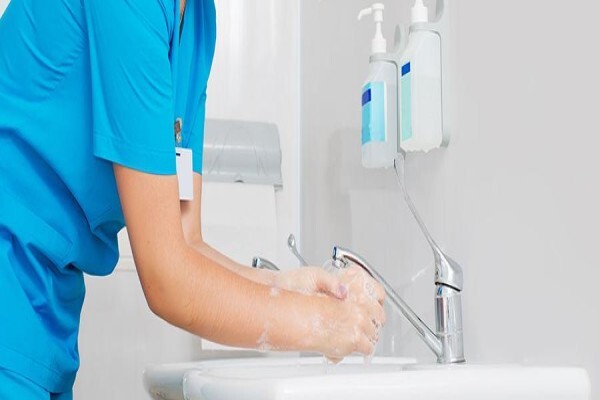 Ecofirst Pest Prevention & Hygiene Services