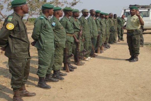 Game Rangers Association Of Africa