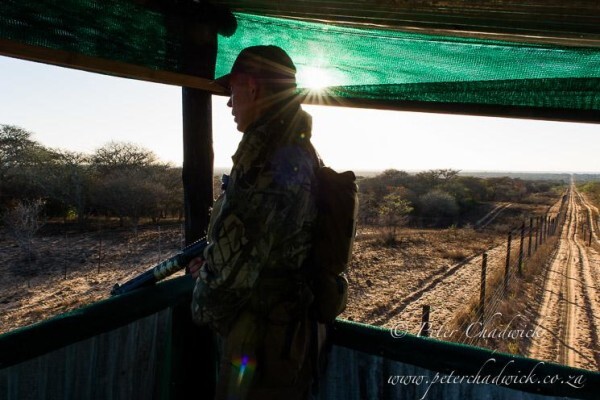 Game Rangers Association Of Africa