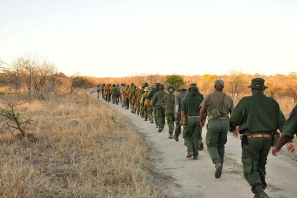 Game Rangers Association Of Africa