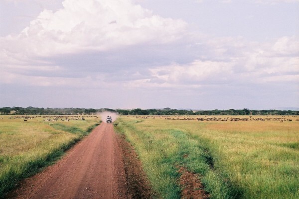 Game Trackers Africa