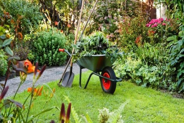 Garden Drums - Garden Refuse Removal Services