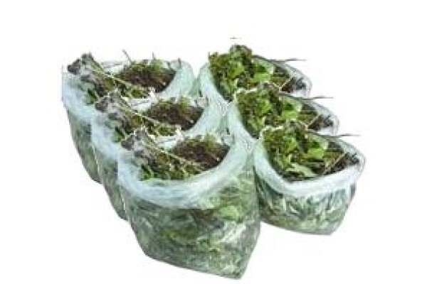 Garden Drums - Garden Refuse Removal Services
