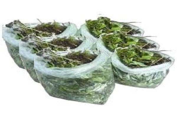Garden Drums - Garden Refuse Removal Services