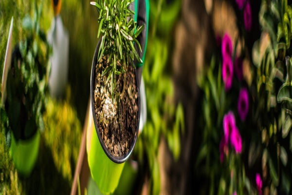 Garden Marster