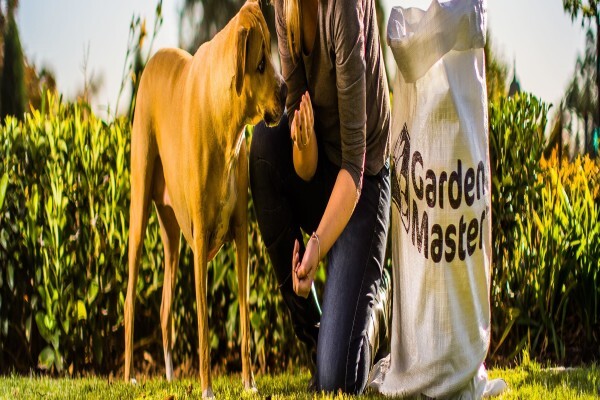 Garden Master